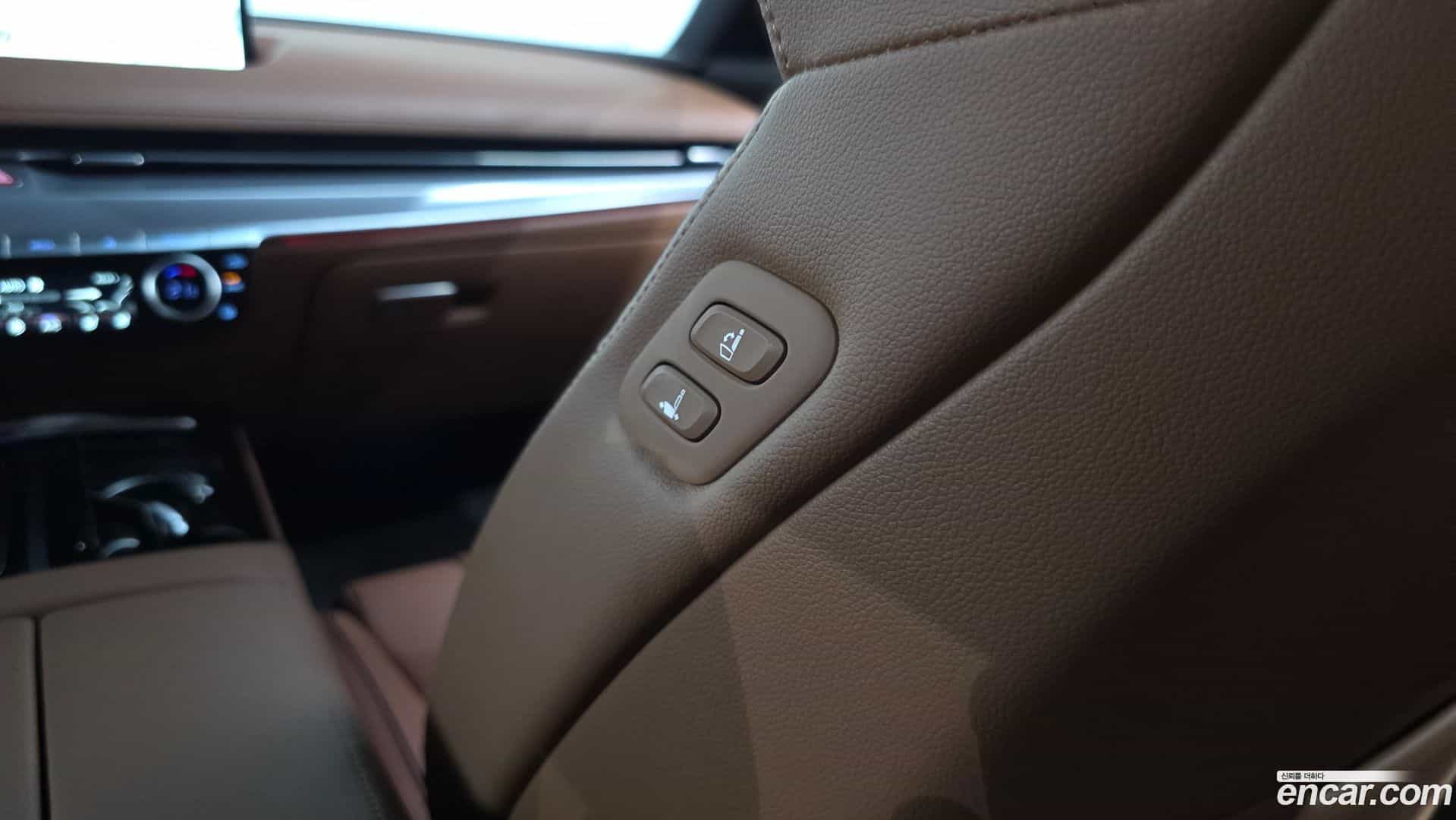 G80 Genesis 2022.5-OPTION-042