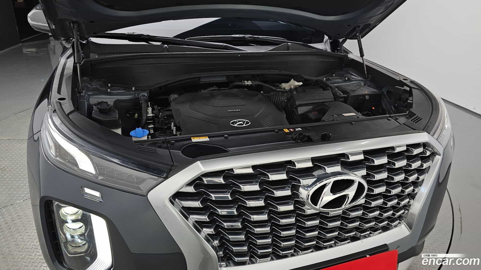Palisade Hyundai 2019.9-OUTER-006