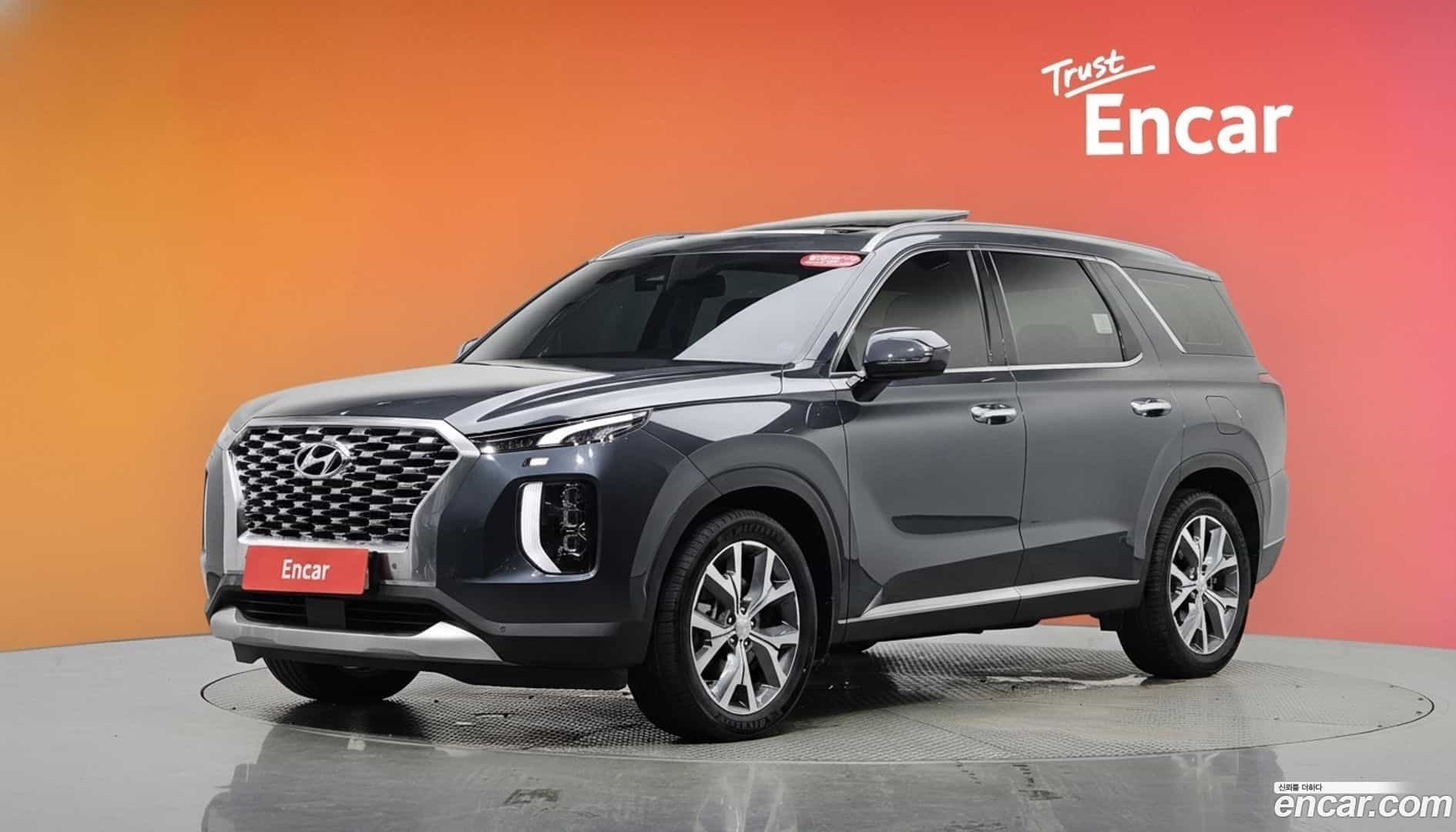 Palisade Hyundai 2019.9-DIAG2-001