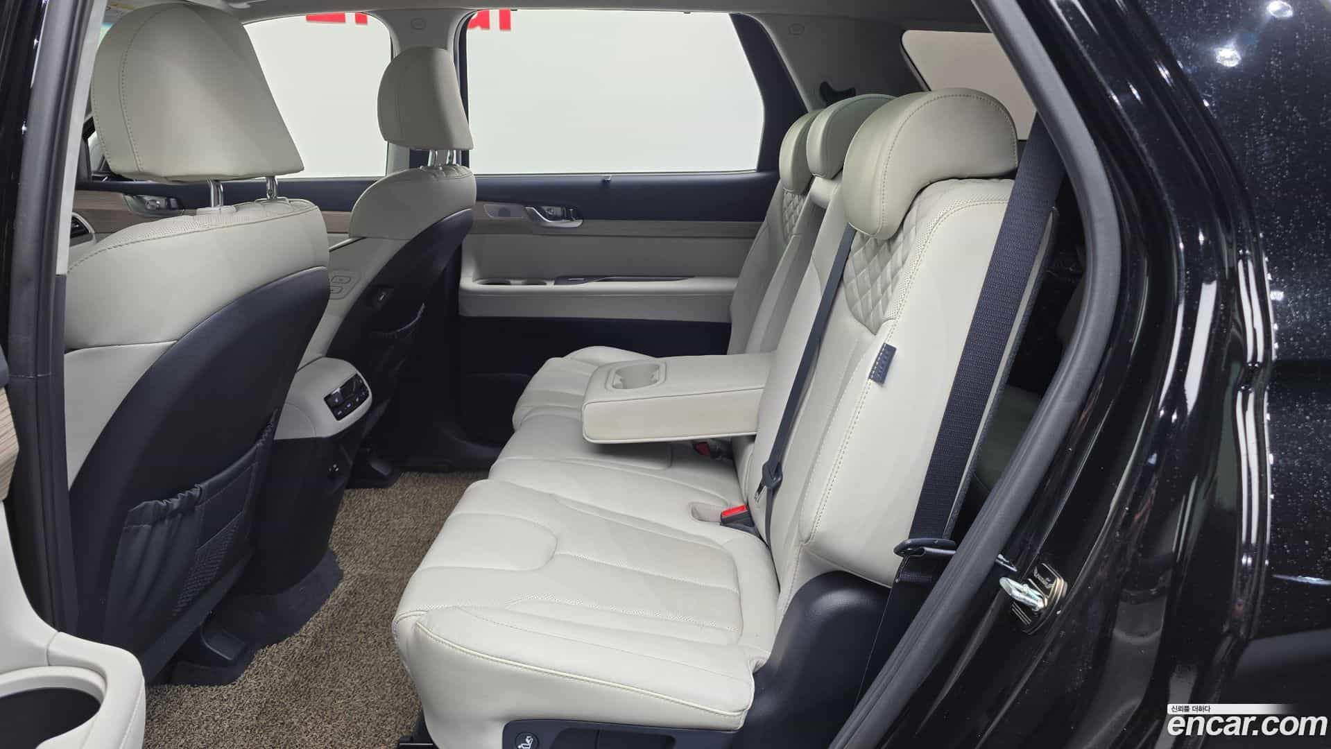 Palisade Hyundai 2021.3-OPTION-016