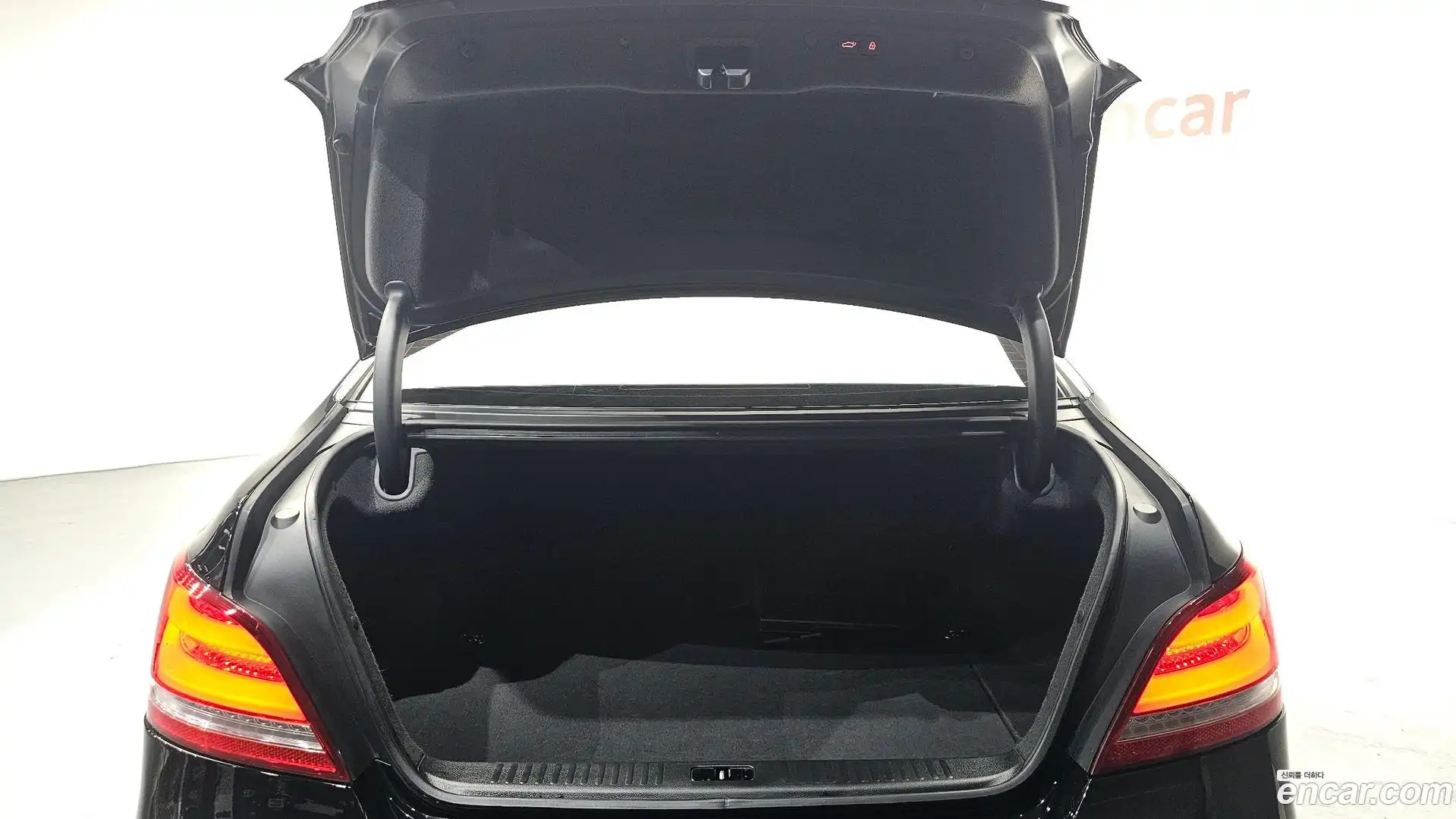 Equus Hyundai 2013.8-OPTION-021