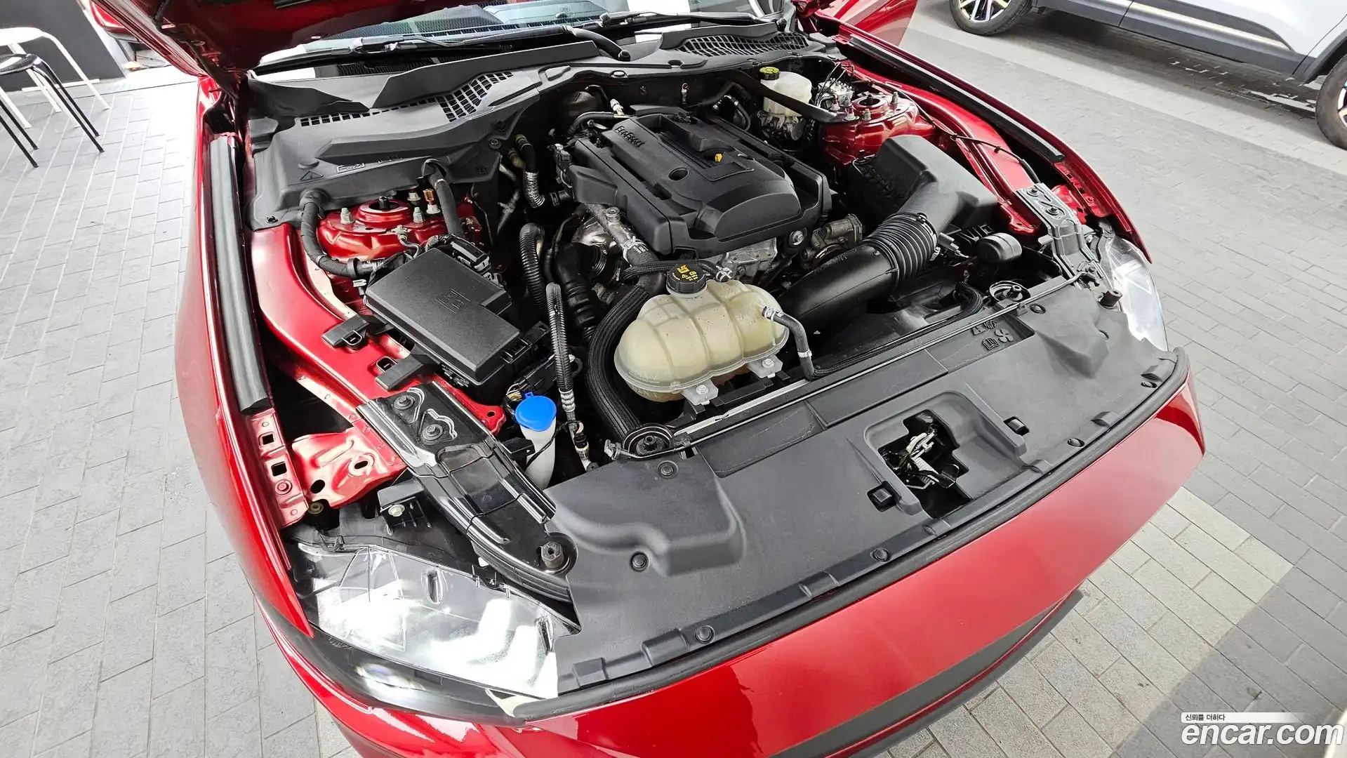 Mustang Ford 2022.5-OUTER-006