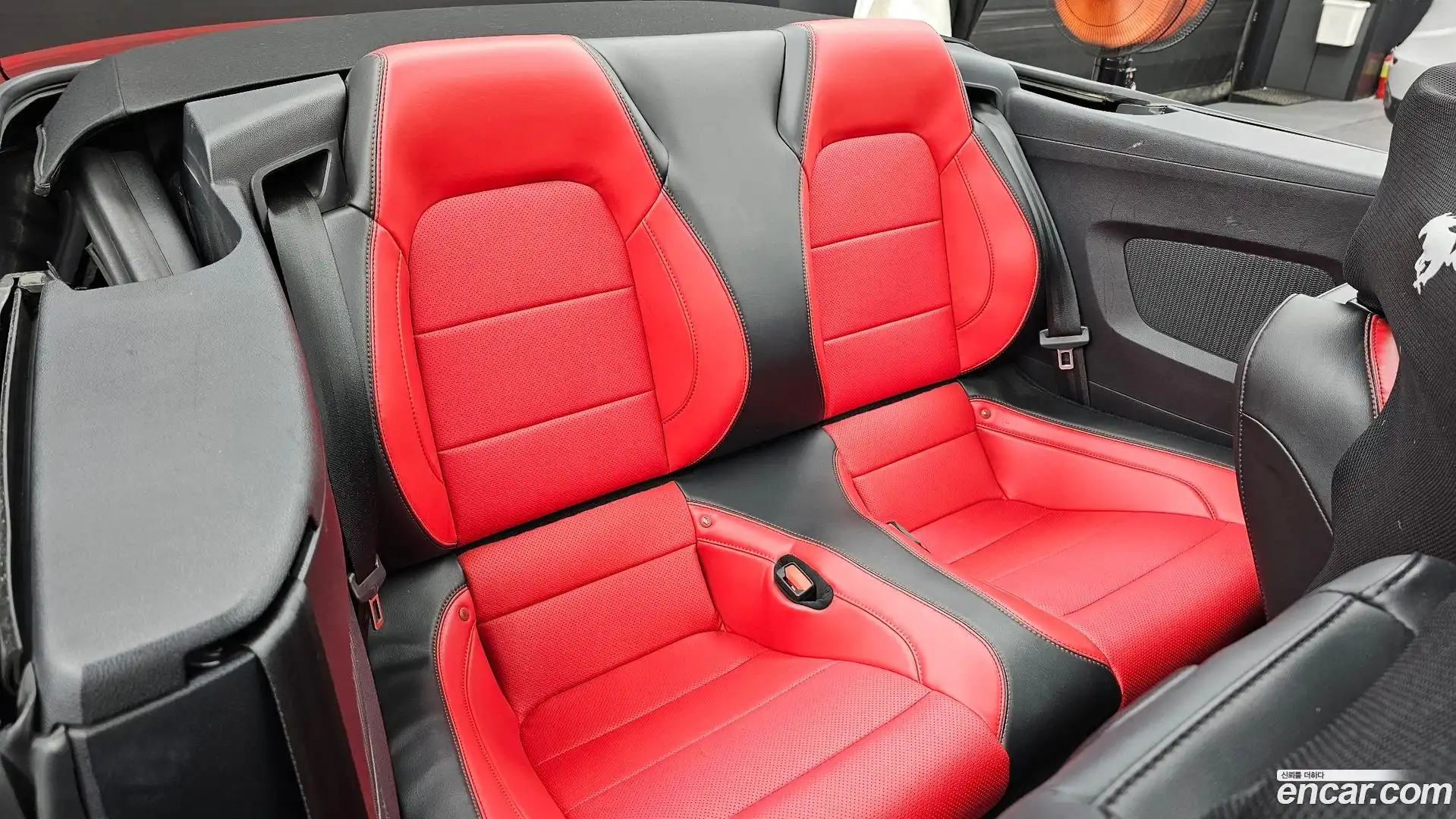 Mustang Ford 2022.5-OPTION-016