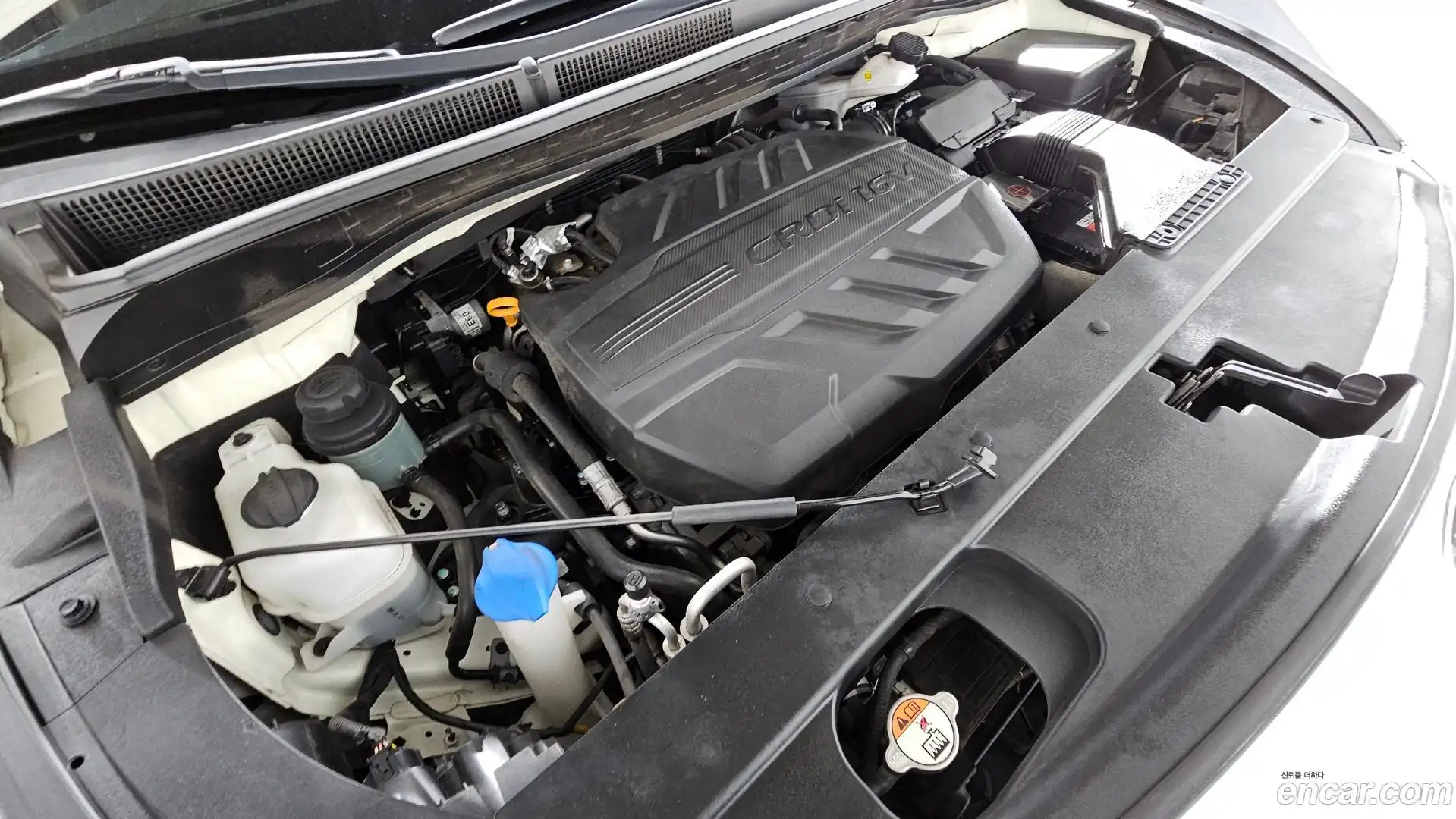 Canival Kia 2019.5-OUTER-006