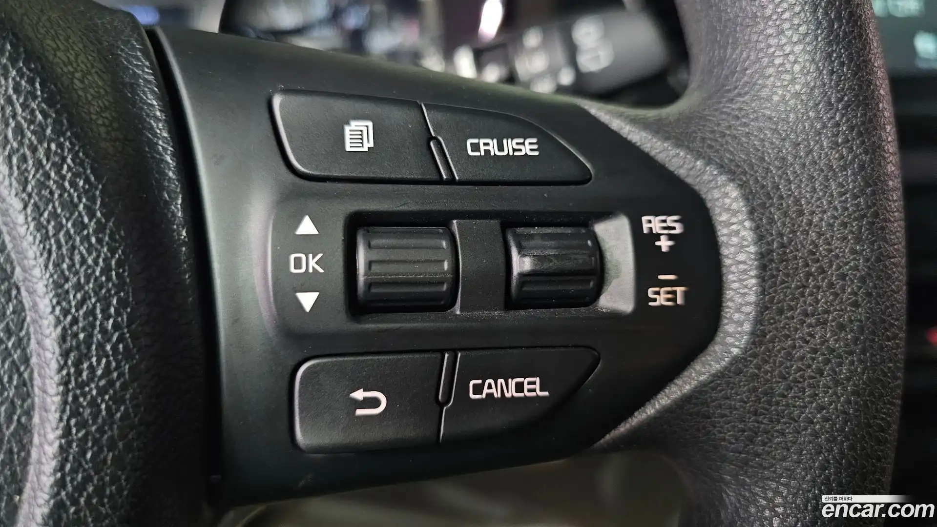 Canival Kia 2019.5-OPTION-020
