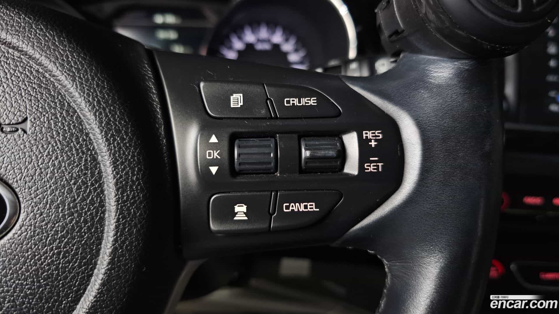 Canival Kia 2018.3-OPTION-020