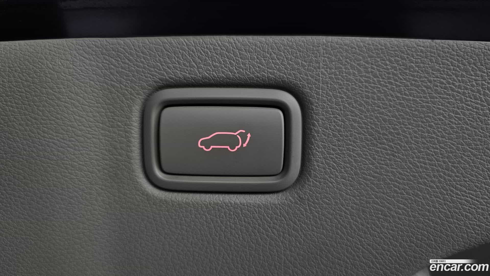Canival Kia 2019.8-OPTION-022