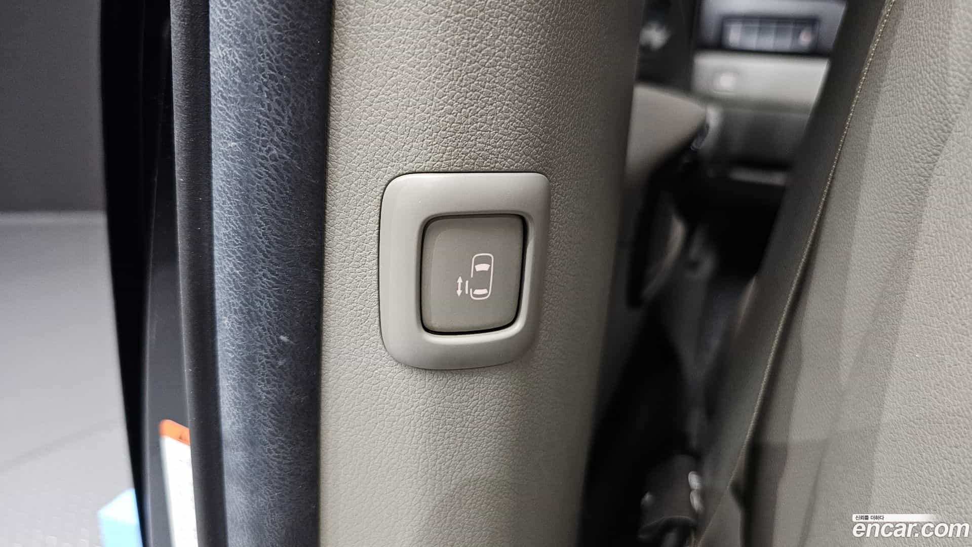 Canival Kia 2019.8-OPTION-043