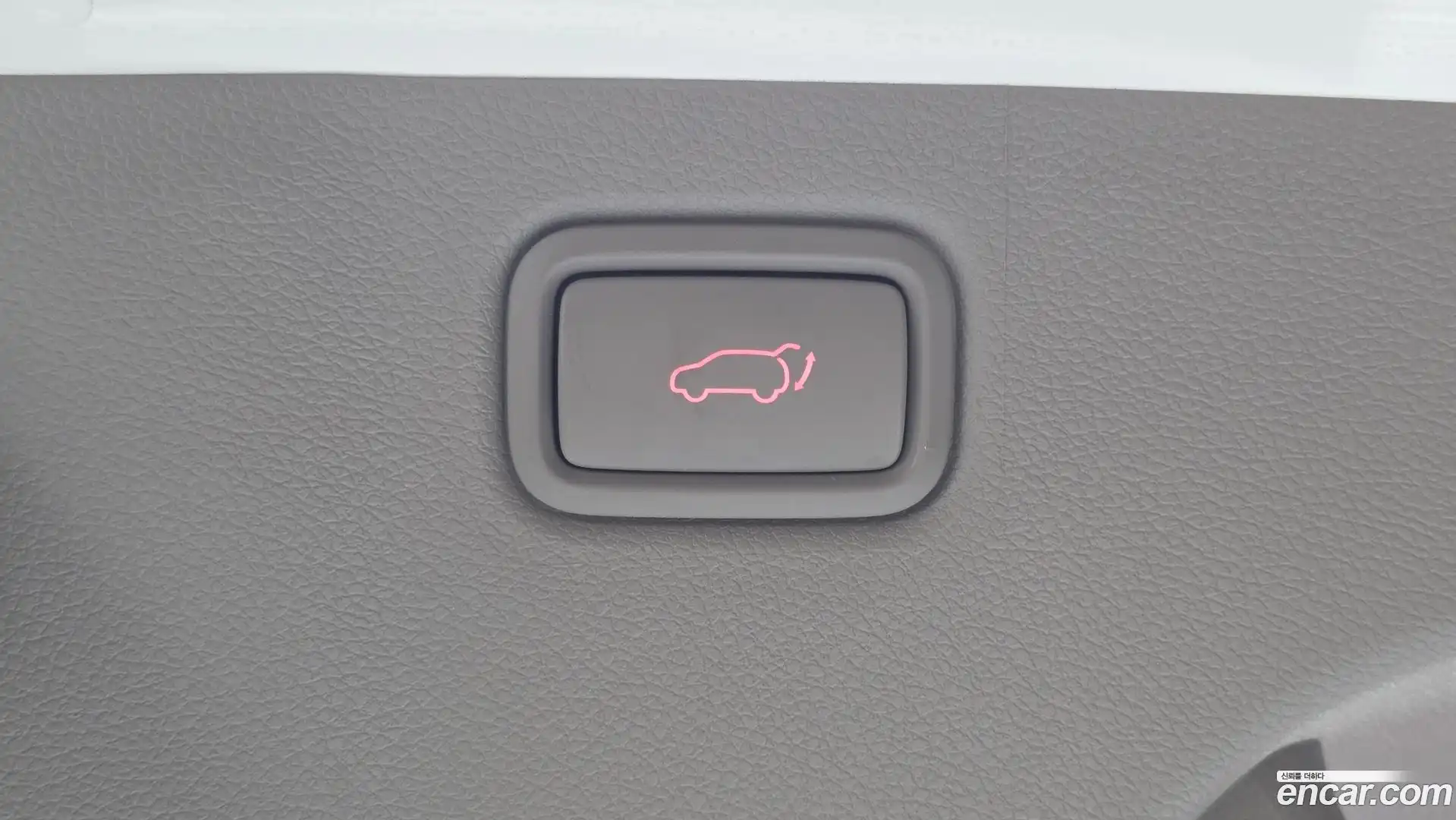 Canival Kia 2019.11-OPTION-050