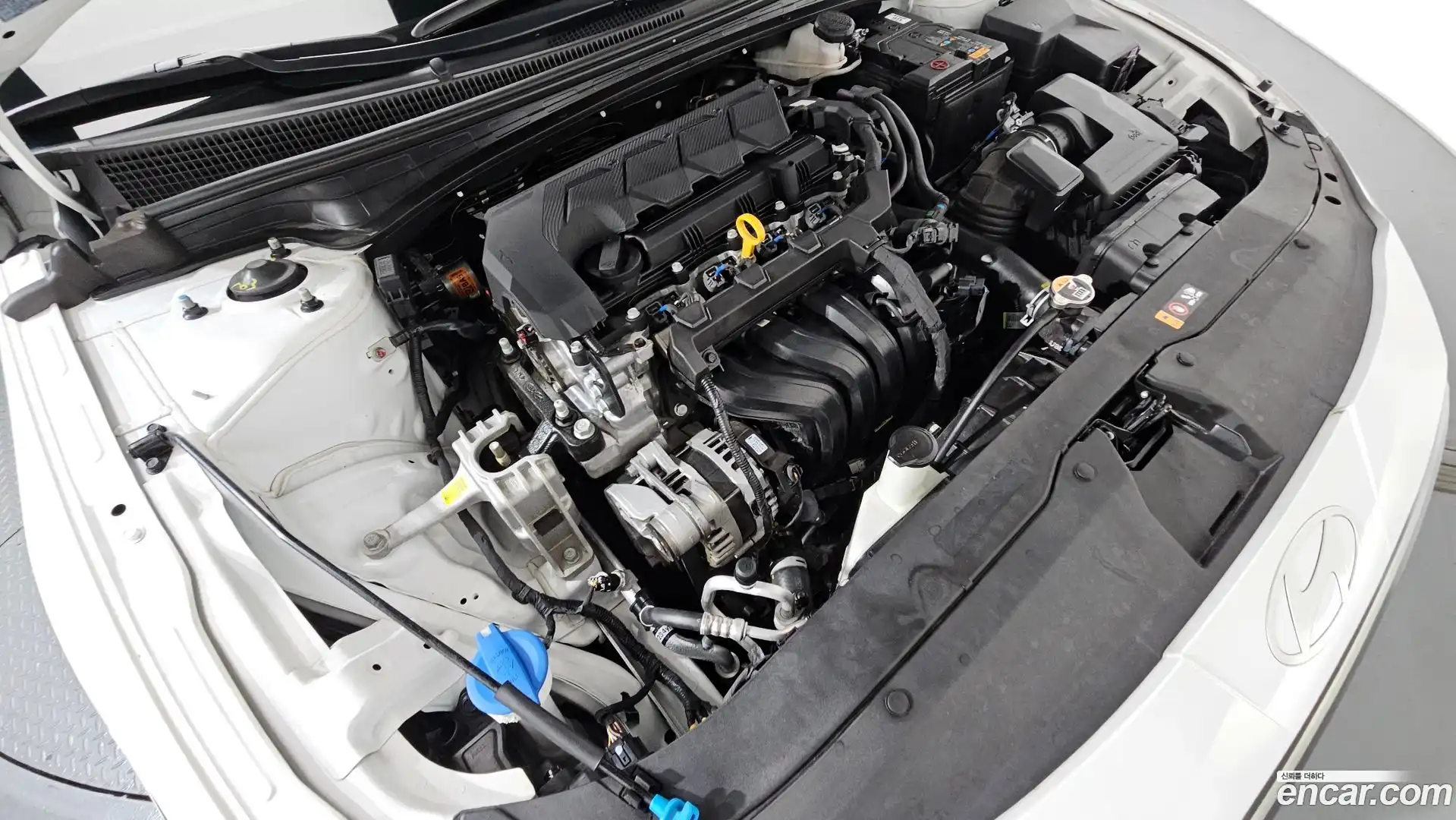 AVANTE Hyundai 2025.1-OUTER-006