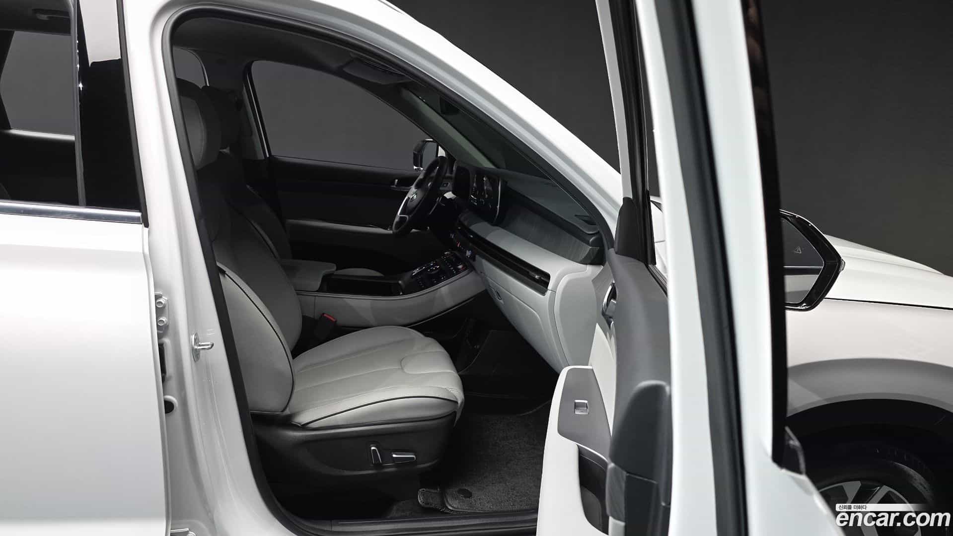 Palisade Hyundai 2024.6-OPTION-015