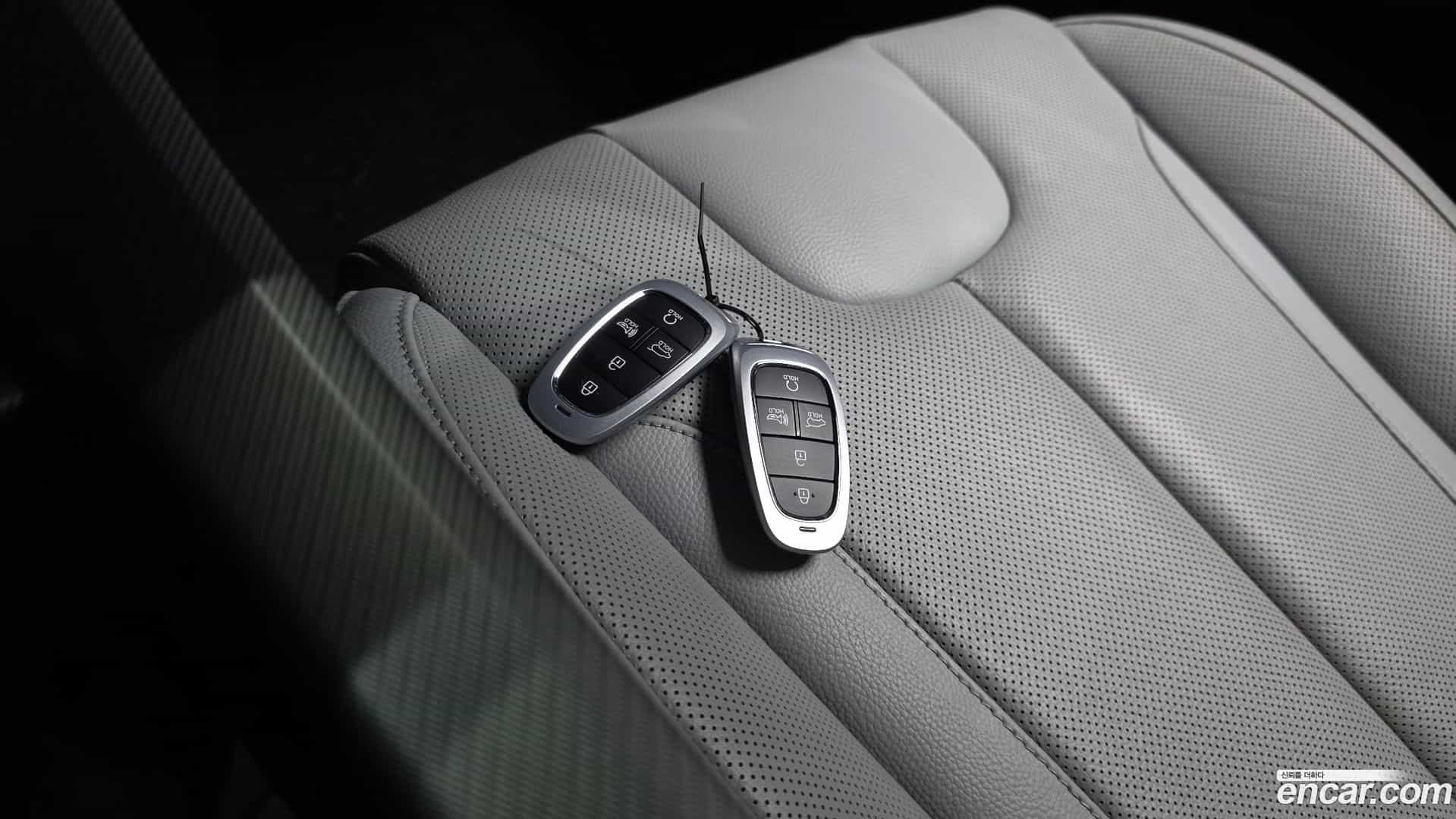 Palisade Hyundai 2024.6-OPTION-022