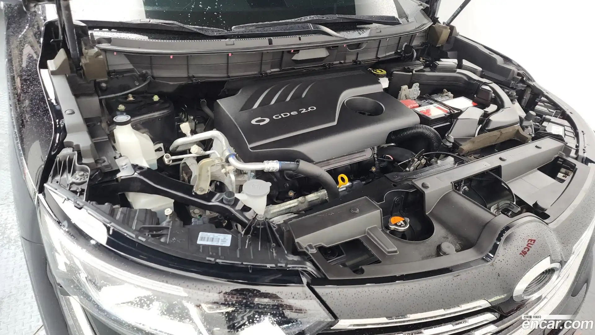 QM6 Renault Korea 2018.2-OUTER-006