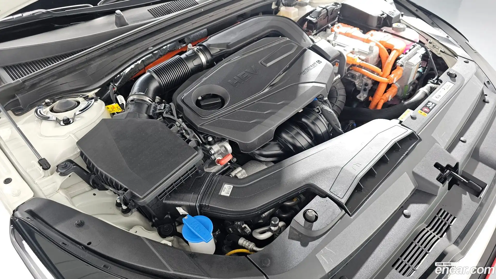 K5 Kia 2024.2-OUTER-006