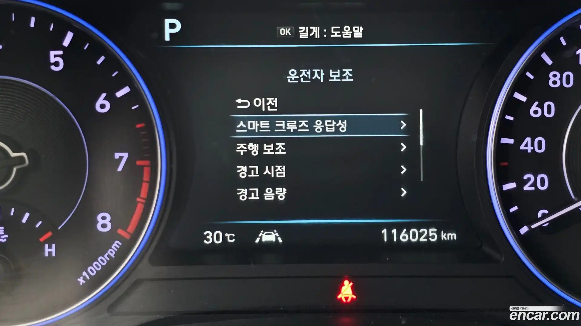 Palisade Hyundai 2019.4-OPTION-020