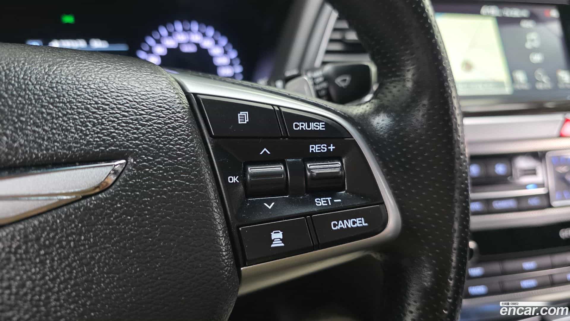 G80 Genesis 2019.0-OPTION-020