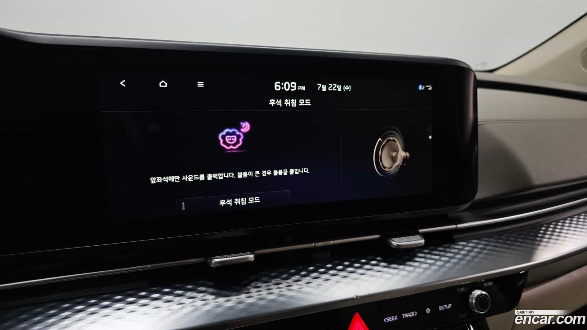 Canival Kia 2022.3-OPTION-021