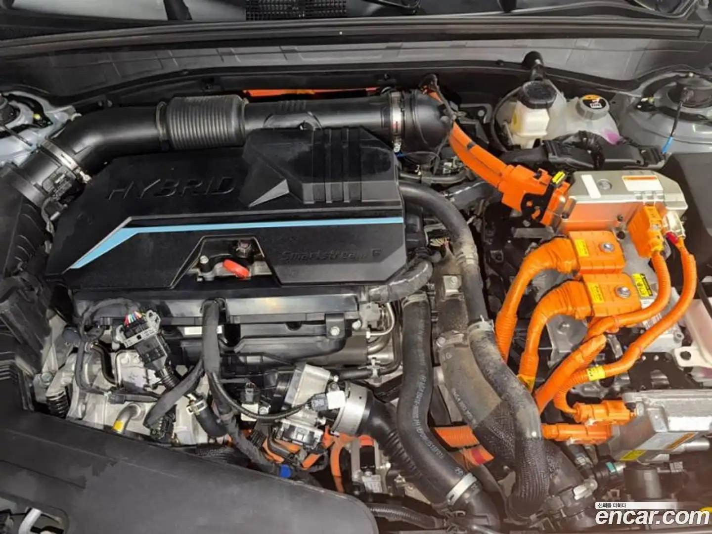 K8 Kia 2023.5-OPTION-023