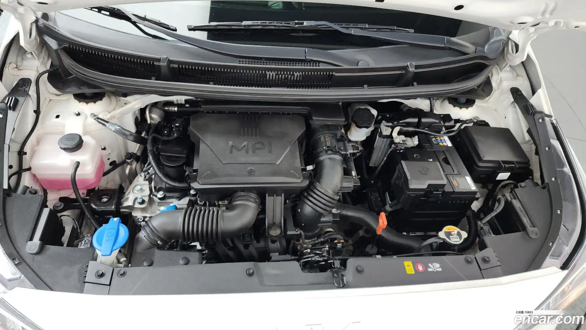 morning Kia 2024.5-OUTER-006