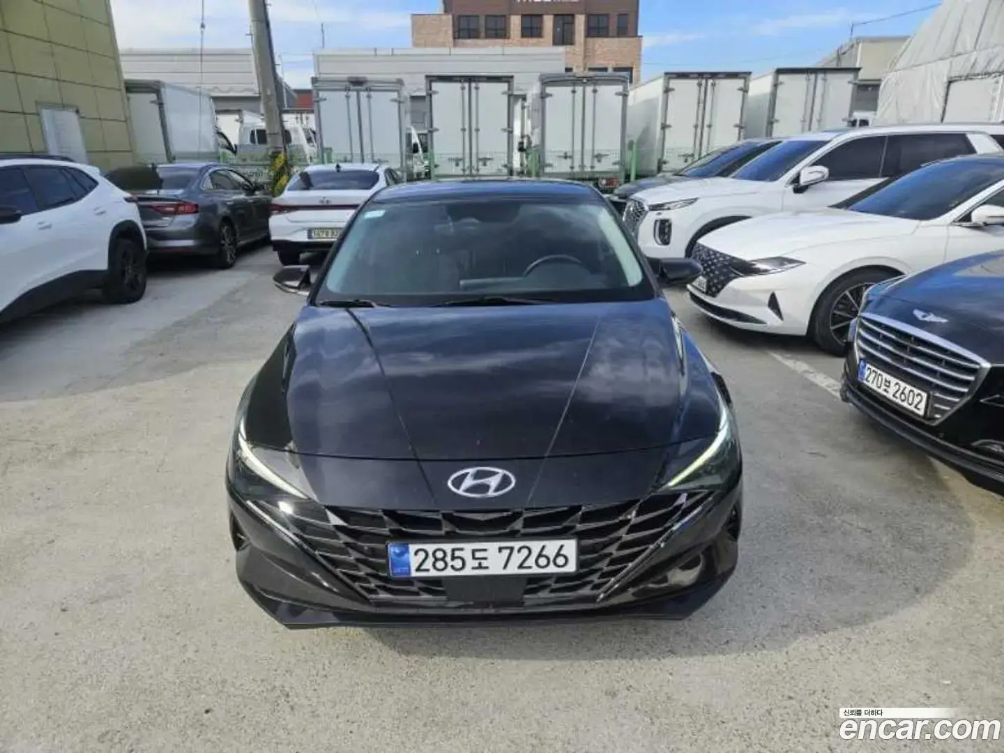 Main__Slider__Photo:AVANTE Hyundai 2022.3-1