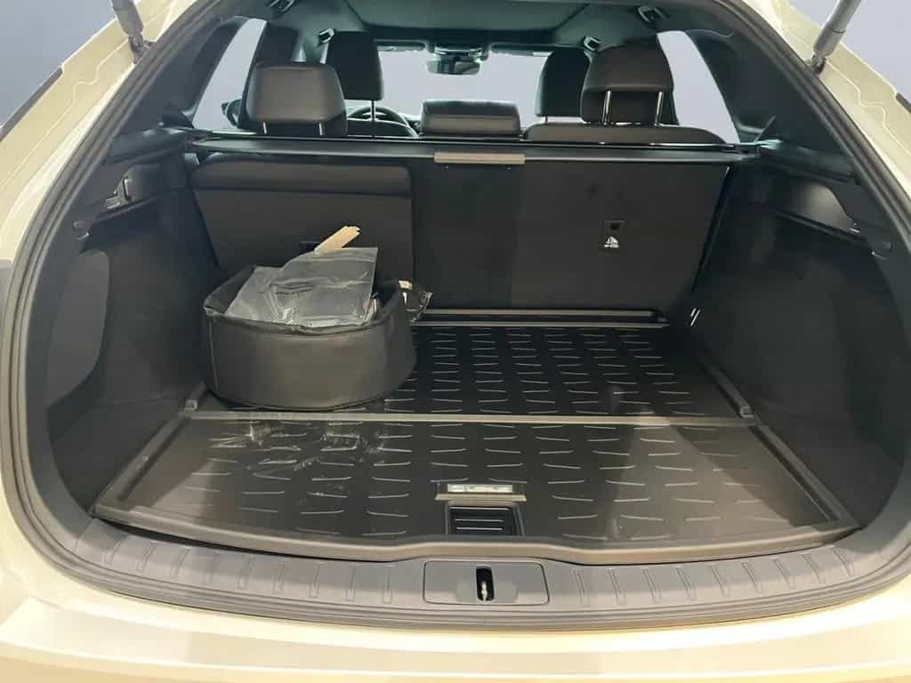 Lexus RX 450 h + 2,5 l E-CVT, 4x4 Plug-in 5-Türer EXECU null-photo-14