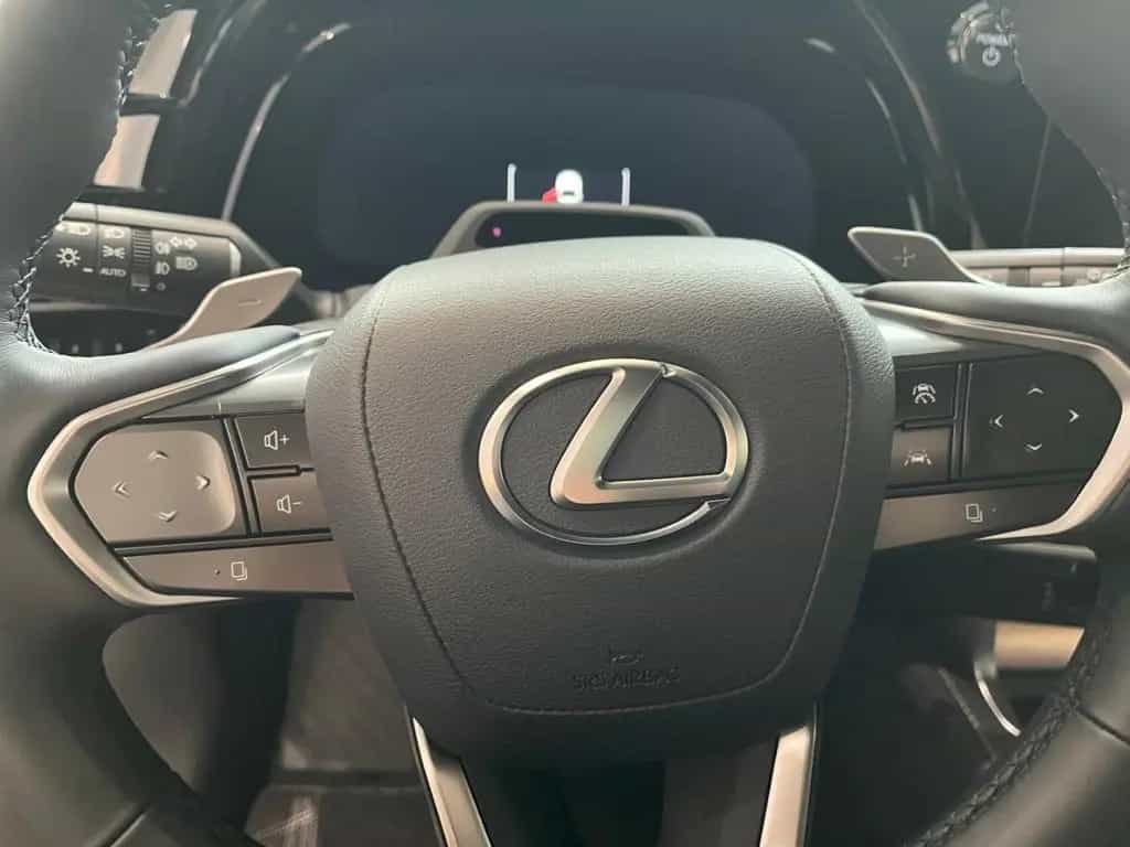 Lexus RX 450 h + 2,5 l E-CVT, 4x4 Plug-in 5-Türer EXECU null-photo-21
