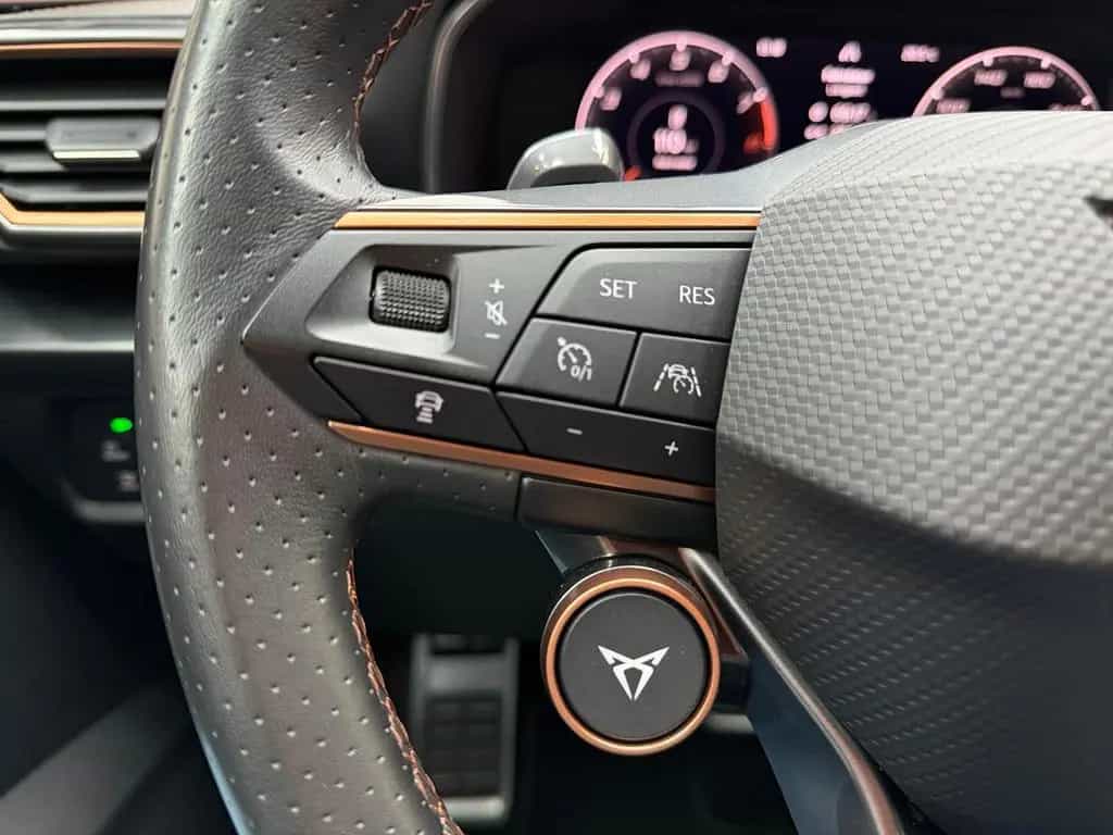 Cupra Formentor VZ5 4Drive 2.5 TSI|360|LED|VIRT|MATT| 06/2022-photo-29