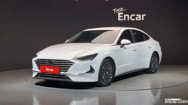 Preview: undefined undefined