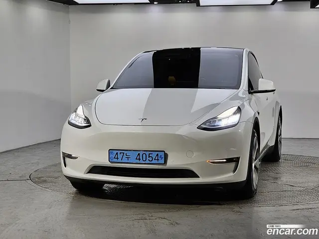 Main__Slider__Photo:Model Y Tesla 2021.7-1
