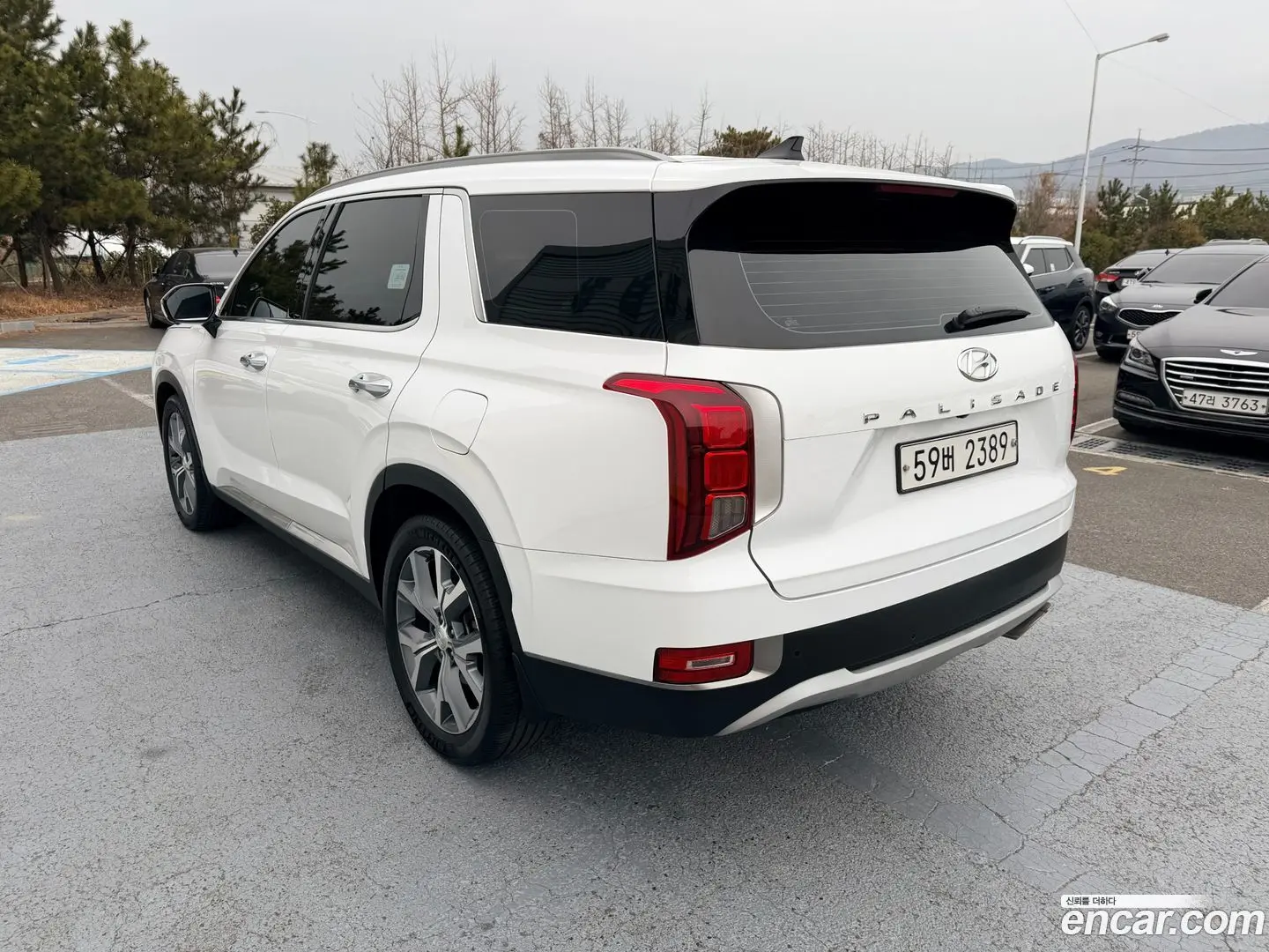 Main__Slider__Photo:Palisade Hyundai 2019.5-1