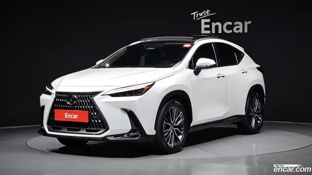 Preview: undefined undefined