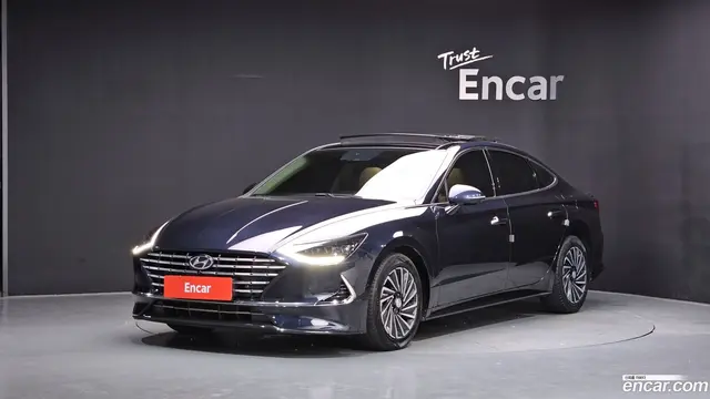 Preview: undefined undefined