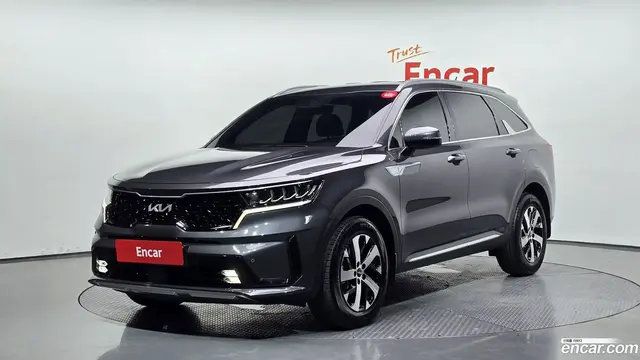 Preview: undefined undefined