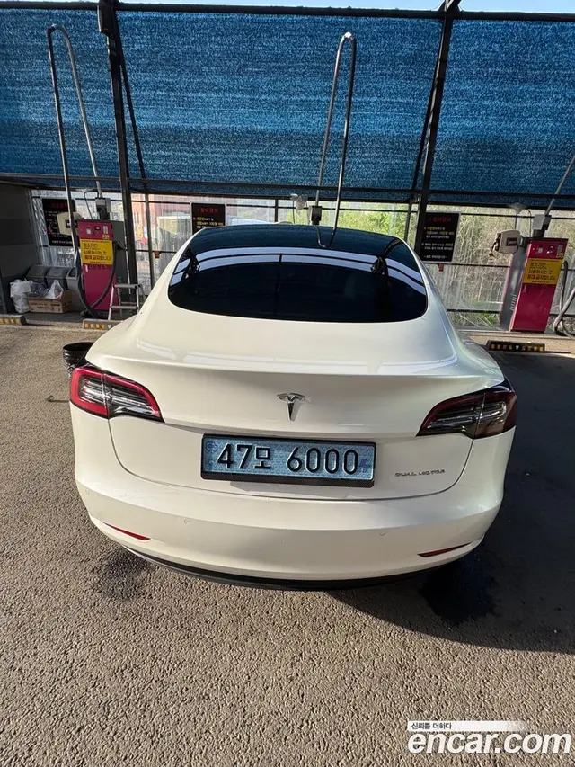 Main__Slider__Photo:Model 3 Tesla 2021.10-1