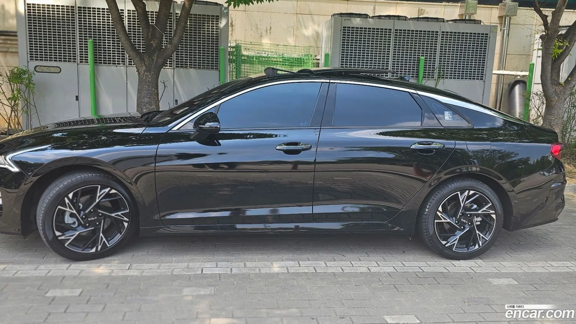 Main__Slider__Photo:K5 Kia 2022.2-1