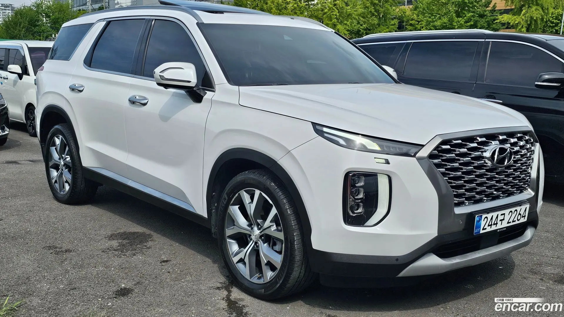 Main__Slider__Photo:Palisade Hyundai 2019.1-1