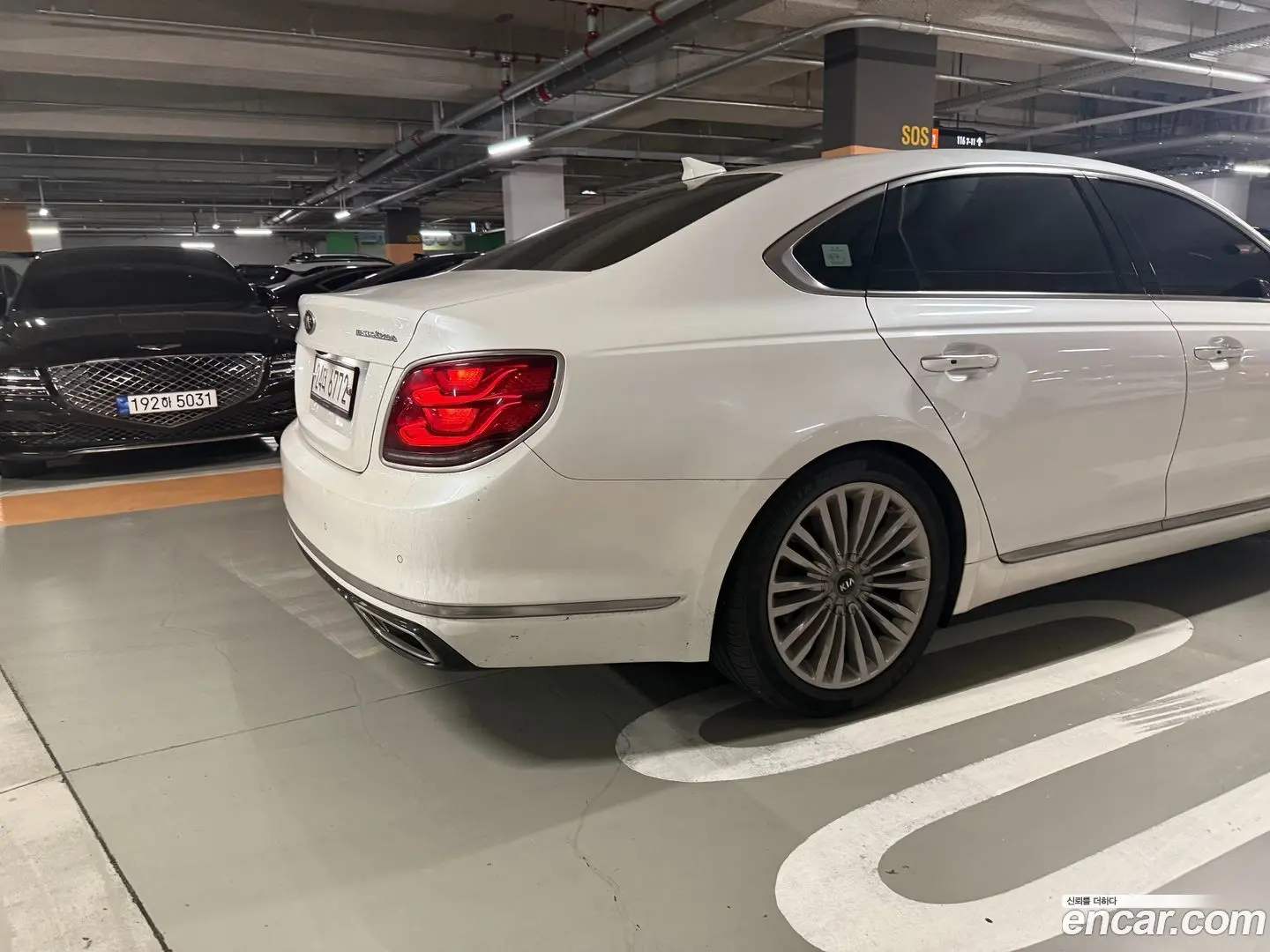 Main__Slider__Photo:K9 Kia 2018.4-1