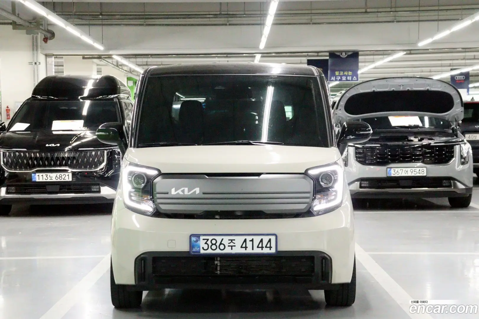 Main__Slider__Photo:RAY Kia 2025.1-1