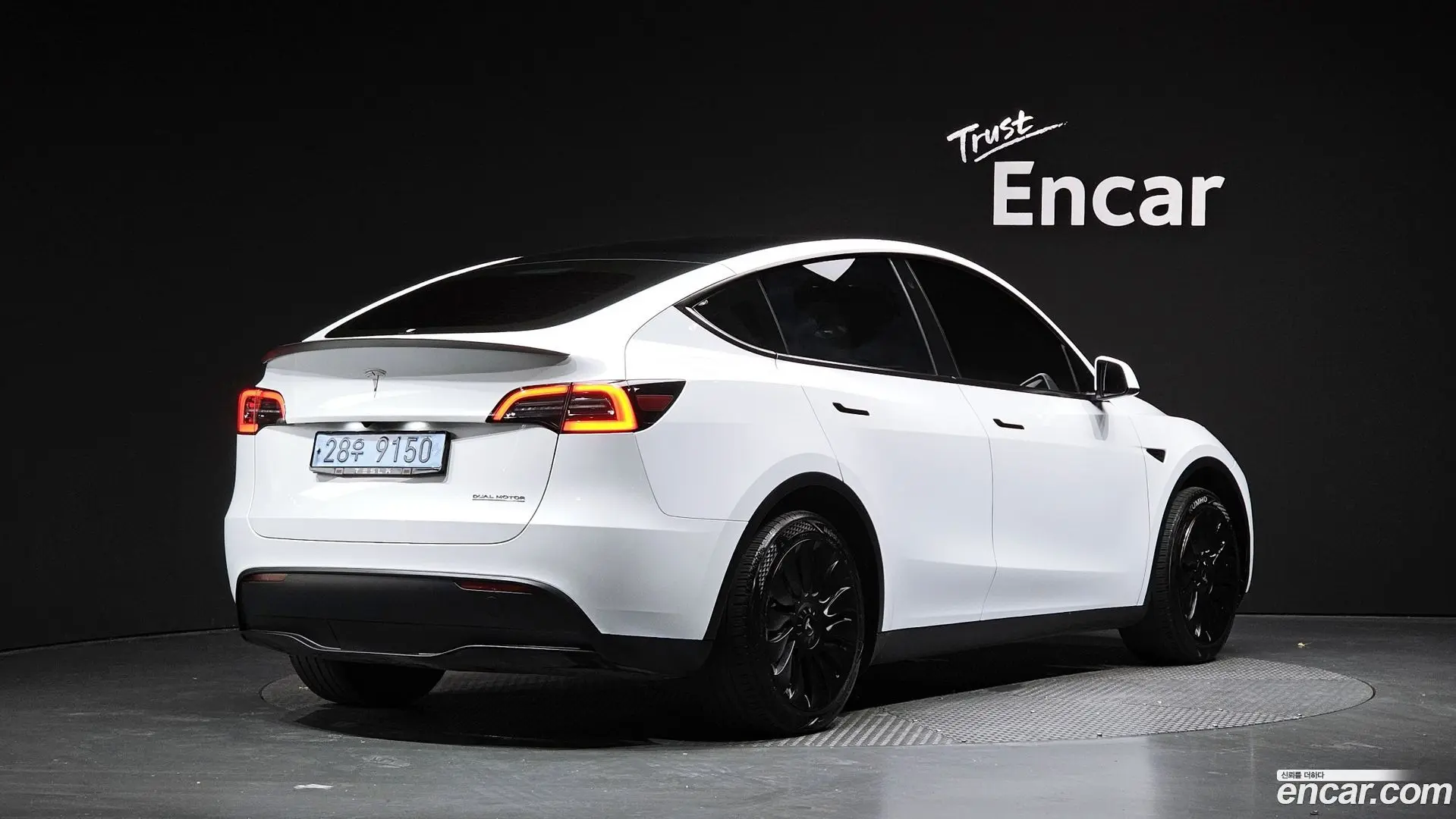 Main__Slider__Photo:Model Y Tesla 2023.8-1