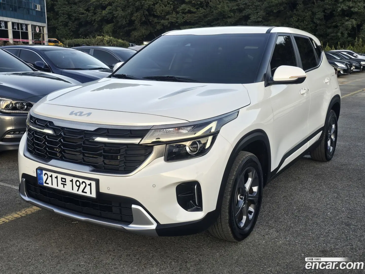 Main__Slider__Photo:Seltos Kia 2024.7-1