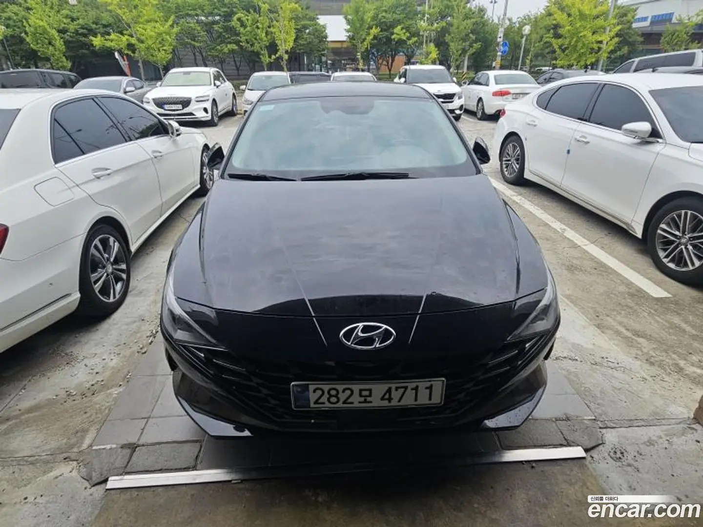 Main__Slider__Photo:AVANTE Hyundai 2022.4-1
