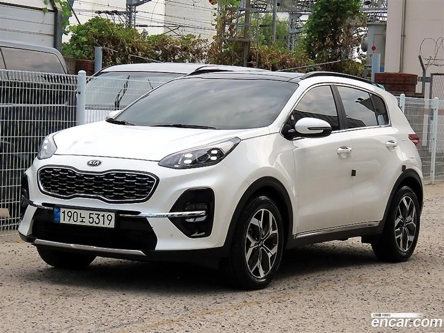 Main__Slider__Photo:Sportage Kia 2021.3-1