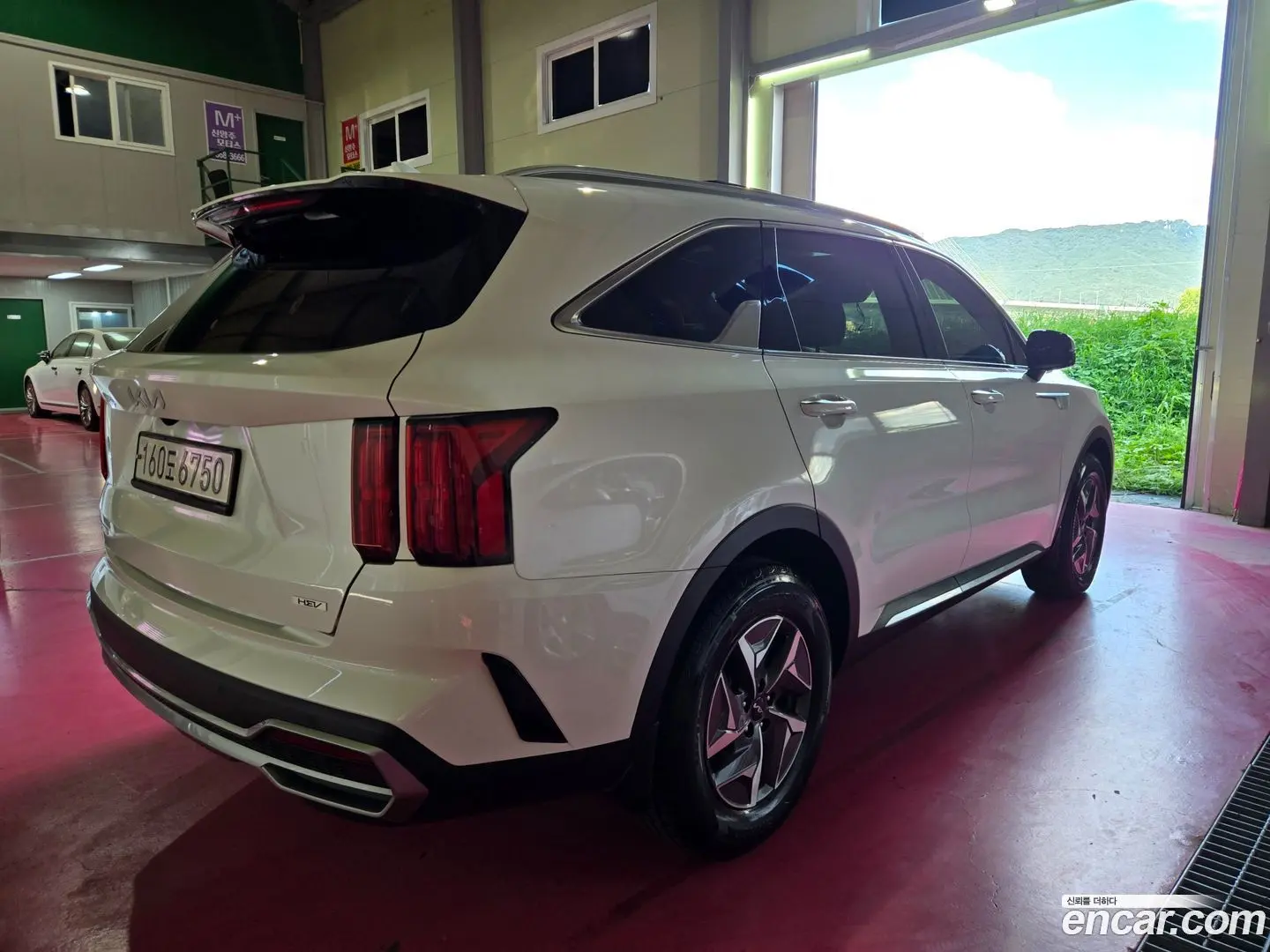 Main__Slider__Photo:Sorento Kia 2023.3-1