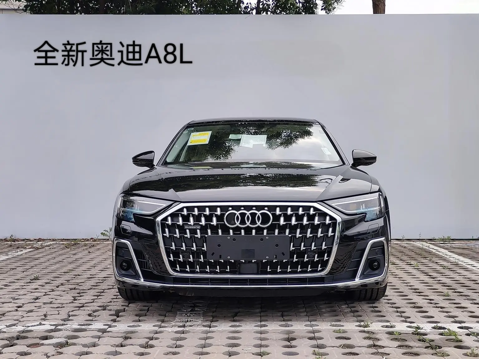 Main__Slider__Photo:undefined undefined 2025-1