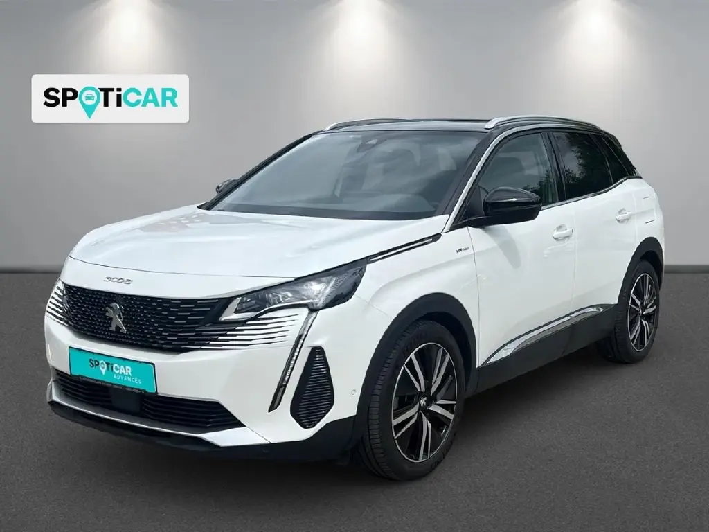 Preview: undefined undefined