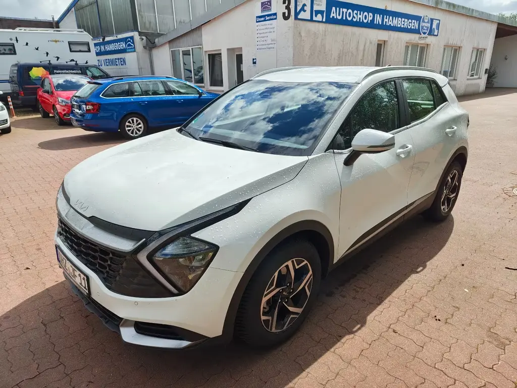 Preview: undefined undefined